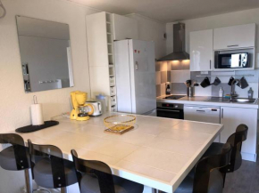 Appartement 2 pièces climatisé, parking privé, proche plage - FR-1-81-535